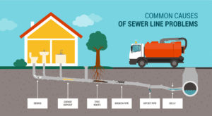 Sewer Backups & Blockages
